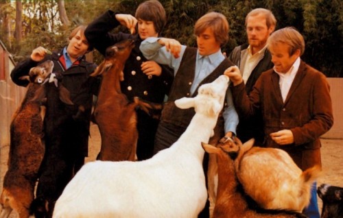 Un dettaglio della copertina di "Pet Sounds", l'album dei Beach Boys del 1966