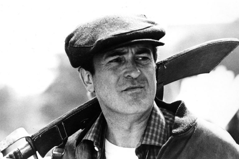 Rosetta обои bernardo bertolucci