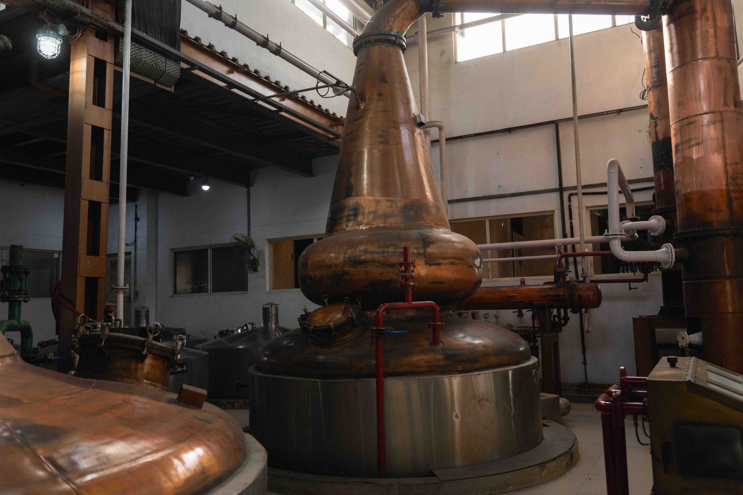 rampur distillery