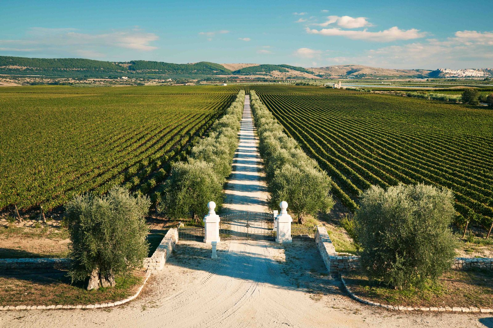 tenuta bocca di lupo