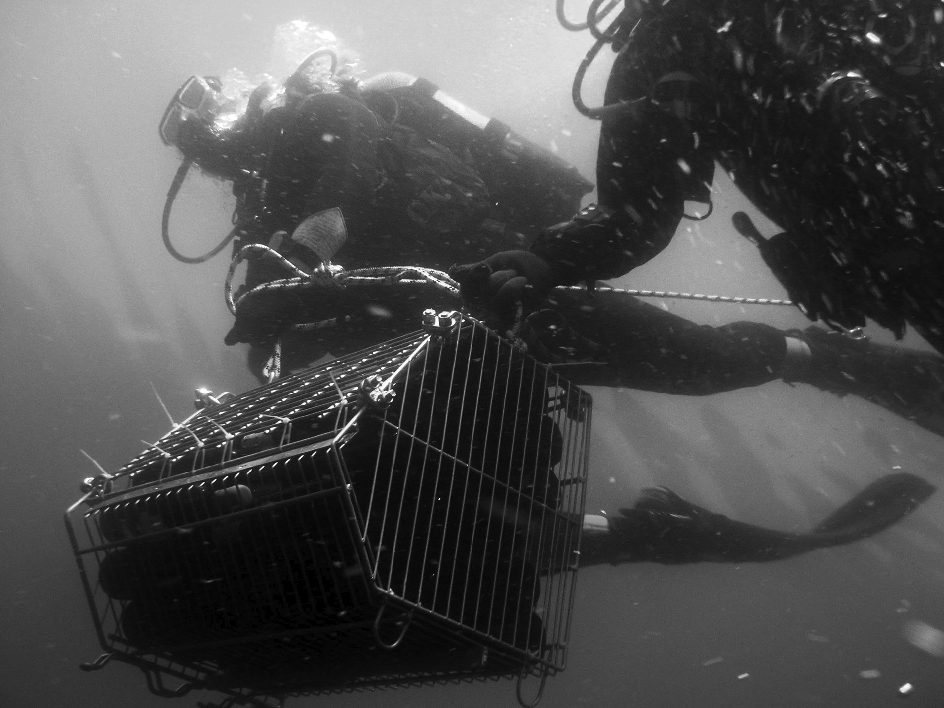 vini affinati in mare